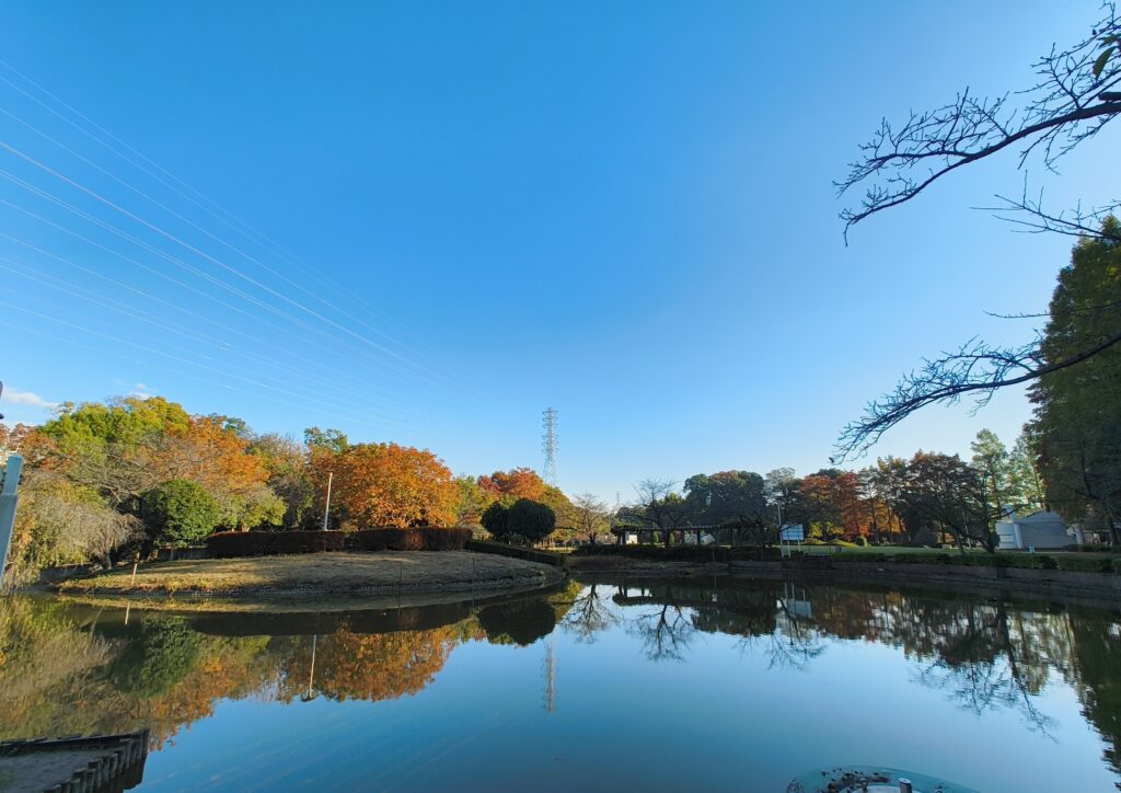 紅葉した木々が水面に映るさぎ山記念公園の修景池