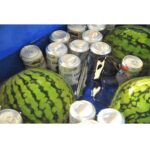 さぎ山記念公園で手ぶらBBQ対応の大型どぶづけ