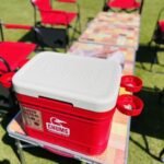 さぎ山記念公園BBQ場の有料エリアで使用できる赤くておしゃれなクーラーボックス