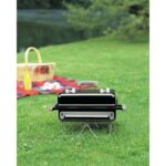 さぎ山記念公園BBQ場の有料エリアで使用できるWeberゴーエニィウェアーグリル