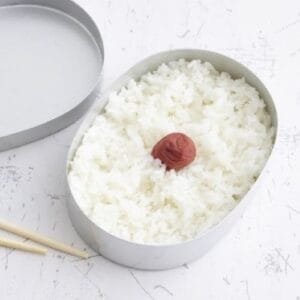 さぎ山記念公園BBQ場で購入できる日の丸弁当