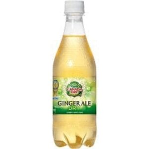 さぎ山記念公園BBQ場で提供しているジンジャーエール 500ml