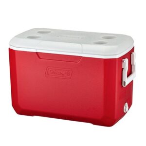 さぎ山記念公園BBQ場の有料エリアで使用できるクーラーボックス 45L